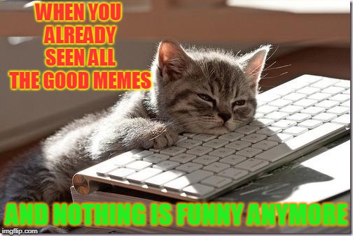 Bored Meme Cat |  WHEN YOU ALREADY SEEN ALL THE GOOD MEMES; AND NOTHING IS FUNNY ANYMORE | image tagged in bored keyboard cat,bored,good memes | made w/ Imgflip meme maker