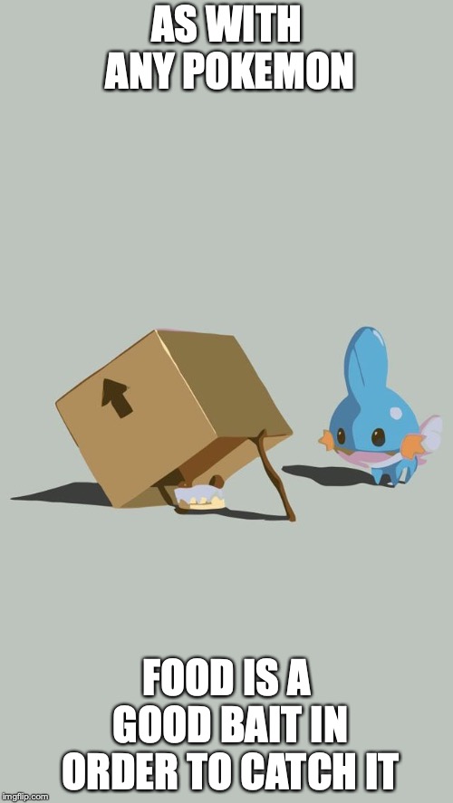 Trapping a Mudkip | AS WITH ANY POKEMON; FOOD IS A GOOD BAIT IN ORDER TO CATCH IT | image tagged in mudkip,trap,memes,pokemon,food | made w/ Imgflip meme maker