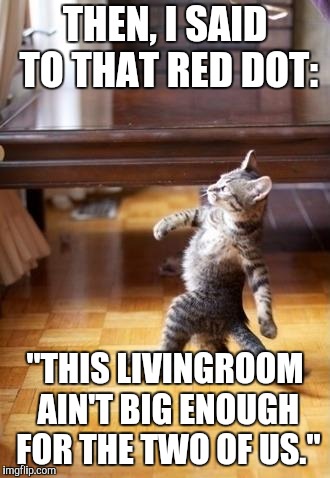 Cool Cat Stroll | THEN, I SAID TO THAT RED DOT:; "THIS LIVINGROOM AIN'T BIG ENOUGH FOR THE TWO OF US." | image tagged in memes,cool cat stroll | made w/ Imgflip meme maker