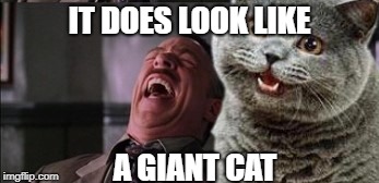 IT DOES LOOK LIKE A GIANT CAT | made w/ Imgflip meme maker