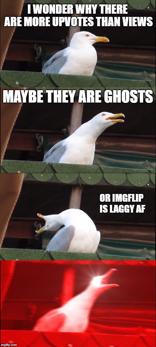 Inhaling Seagull Meme | I WONDER WHY THERE ARE MORE UPVOTES THAN VIEWS; MAYBE THEY ARE GHOSTS; OR IMGFLIP IS LAGGY AF | image tagged in memes,inhaling seagull | made w/ Imgflip meme maker