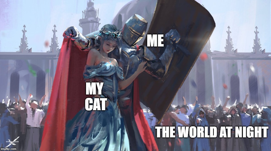 Sometimes my cat stays out too late. :| | ME; MY CAT; THE WORLD AT NIGHT | image tagged in knight protector,memes,cool | made w/ Imgflip meme maker