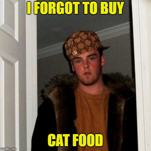 Scumbag Steve Meme | I FORGOT TO BUY CAT FOOD | image tagged in memes,scumbag steve | made w/ Imgflip meme maker