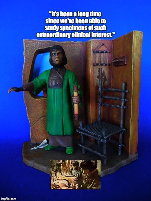 Zira | "It's been a long time since we've been able to study specimens of such extraordinary clinical interest." | image tagged in planet of the apes,science fiction,toys,movie quotes | made w/ Imgflip meme maker