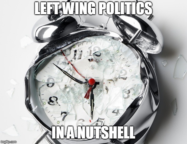 The Left, not all bad | LEFT WING POLITICS; IN A NUTSHELL | image tagged in broken clock,left wing,leftists,memes | made w/ Imgflip meme maker