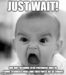 Angry Baby | JUST WAIT! ONE DAY I'M GOING TO BE PRESIDENT AND I'M GOING TO BUILD A WALL AND THEN YOU'LL ALL BE SORRY! | image tagged in memes,angry baby | made w/ Imgflip meme maker
