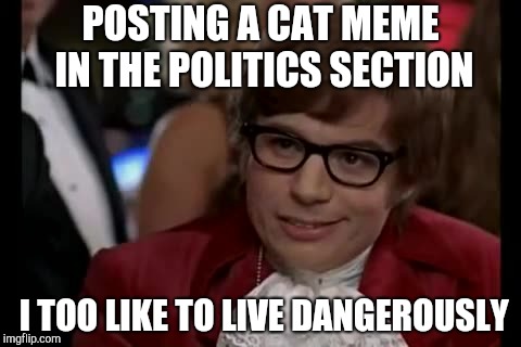 I Too Like To Live Dangerously | POSTING A CAT MEME IN THE POLITICS SECTION; I TOO LIKE TO LIVE DANGEROUSLY | image tagged in memes,i too like to live dangerously | made w/ Imgflip meme maker
