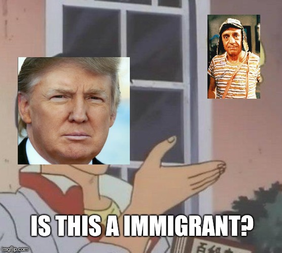 Is This A Pigeon Meme | IS THIS A IMMIGRANT? | image tagged in memes,is this a pigeon | made w/ Imgflip meme maker