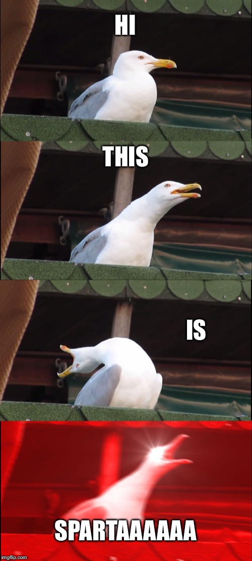 Inhaling Seagull | HI; THIS; IS; SPARTAAAAAA | image tagged in memes,inhaling seagull | made w/ Imgflip meme maker
