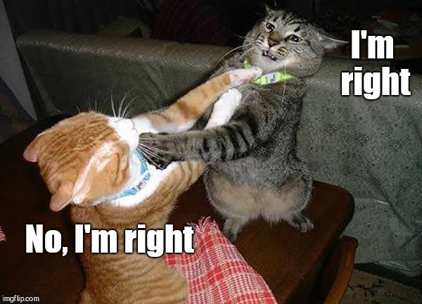 The imgflip politics section | I'm right; No, I'm right | image tagged in two cats fighting for real | made w/ Imgflip meme maker