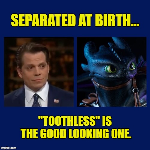 SEPARATED AT BIRTH... "TOOTHLESS" IS THE GOOD LOOKING ONE. | image tagged in separated at birth | made w/ Imgflip meme maker
