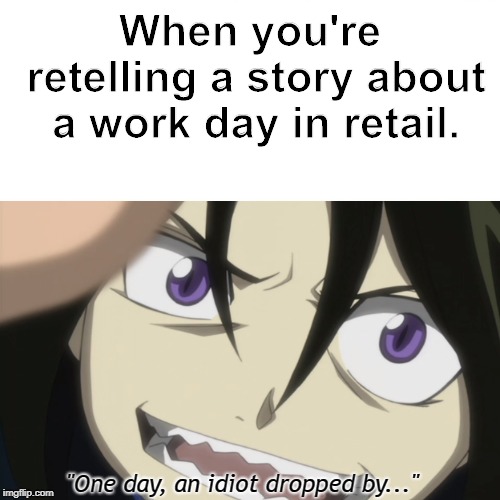 A Random Meme | When you're retelling a story about a work day in retail. "One day, an idiot dropped by..." | image tagged in fullmetal alchemist,retail | made w/ Imgflip meme maker