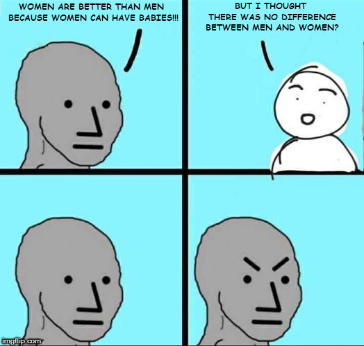 NPC Meme | WOMEN ARE BETTER THAN MEN BECAUSE WOMEN CAN HAVE BABIES!!! BUT I THOUGHT THERE WAS NO DIFFERENCE BETWEEN MEN AND WOMEN? | image tagged in npc meme | made w/ Imgflip meme maker
