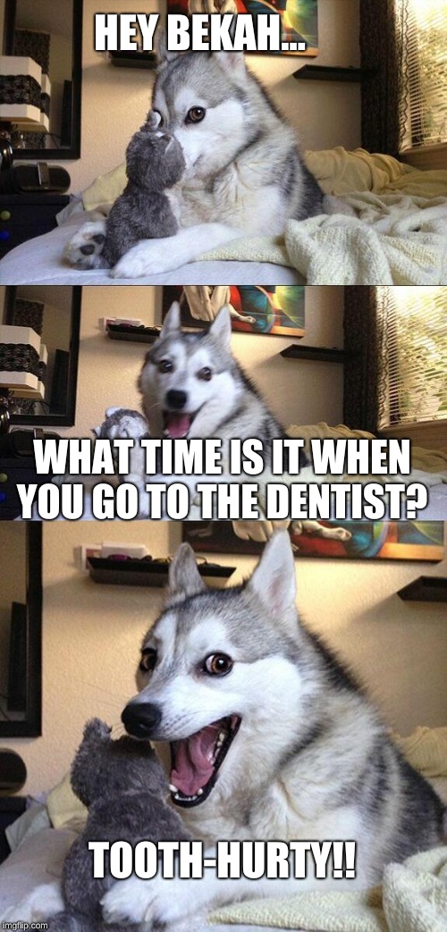 Bad Pun Dog | HEY BEKAH... WHAT TIME IS IT WHEN YOU GO TO THE DENTIST? TOOTH-HURTY!! | image tagged in memes,bad pun dog | made w/ Imgflip meme maker