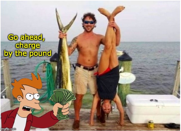 Something smells fishy about this deal | Go ahead, charge by the pound | image tagged in shut up and take my money fry,fishing,funny memes | made w/ Imgflip meme maker