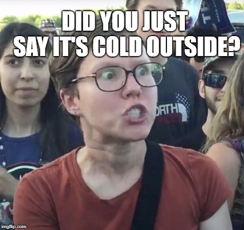Triggered feminist | DID YOU JUST SAY IT'S COLD OUTSIDE? | image tagged in triggered feminist | made w/ Imgflip meme maker