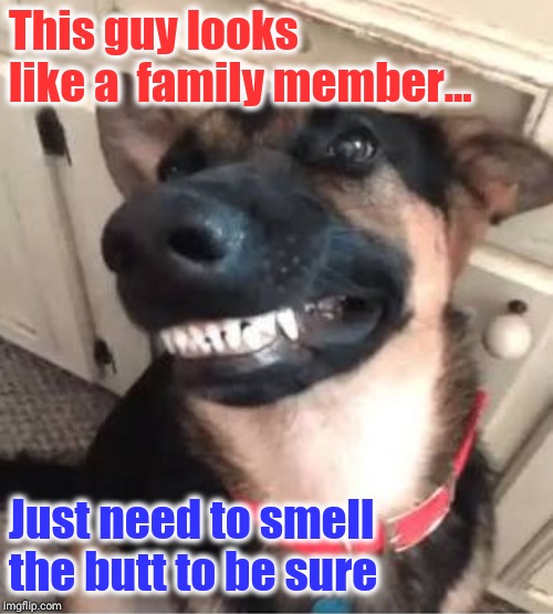 This guy looks like a 
family member... Just need to smell the butt to be sure | made w/ Imgflip meme maker