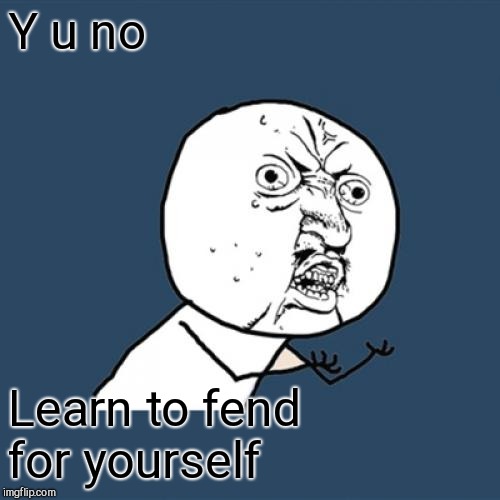 Y U No Meme | Y u no Learn to fend for yourself | image tagged in memes,y u no | made w/ Imgflip meme maker