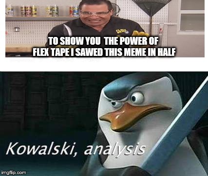 kowalski, analysis | TO SHOW YOU  THE POWER OF FLEX TAPE I SAWED THIS MEME IN HALF | image tagged in kowalski analysis | made w/ Imgflip meme maker
