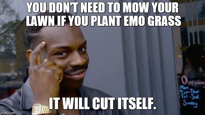 Roll Safe Think About It Meme | YOU DON'T NEED TO MOW YOUR LAWN IF YOU PLANT EMO GRASS; IT WILL CUT ITSELF. | image tagged in memes,roll safe think about it,lawnmower,grass,emo | made w/ Imgflip meme maker