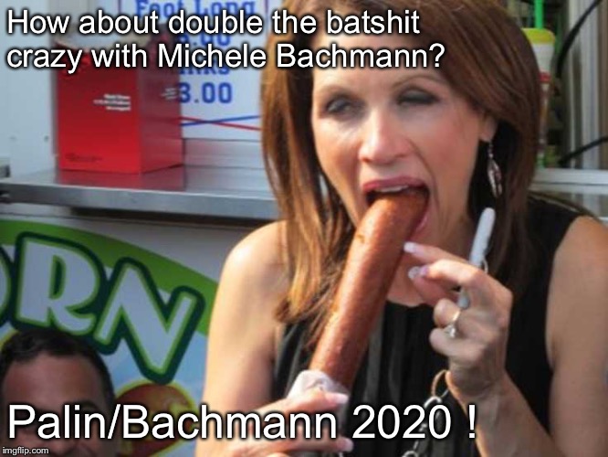 MIchele Bachmann | How about double the batshit crazy with Michele Bachmann? Palin/Bachmann 2020 ! | image tagged in michele bachmann | made w/ Imgflip meme maker