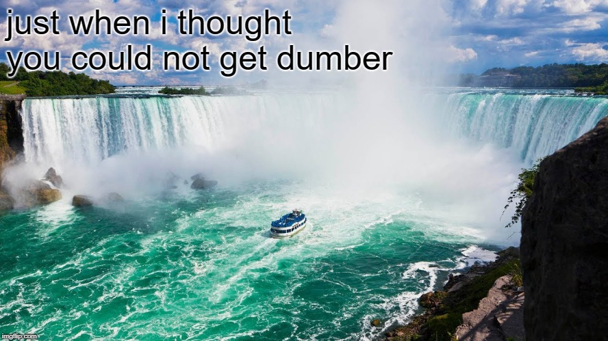 Niagra Falls Maid of the Mist | just when i thought you could not get dumber | image tagged in niagra falls maid of the mist | made w/ Imgflip meme maker