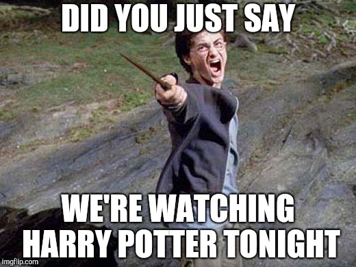 Harry Potter Yelling | DID YOU JUST SAY; WE'RE WATCHING HARRY POTTER TONIGHT | image tagged in harry potter yelling | made w/ Imgflip meme maker