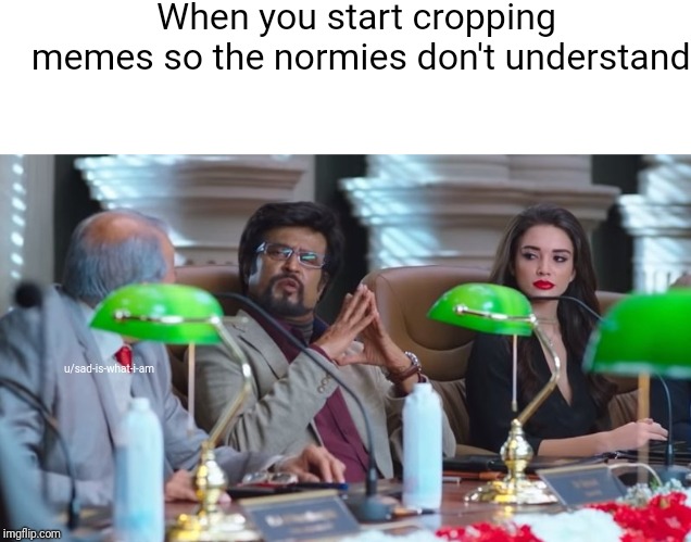 When you start cropping memes so the normies don't understand; u/sad-is-what-i-am | image tagged in this is beyond science stealthmode,scumbag | made w/ Imgflip meme maker