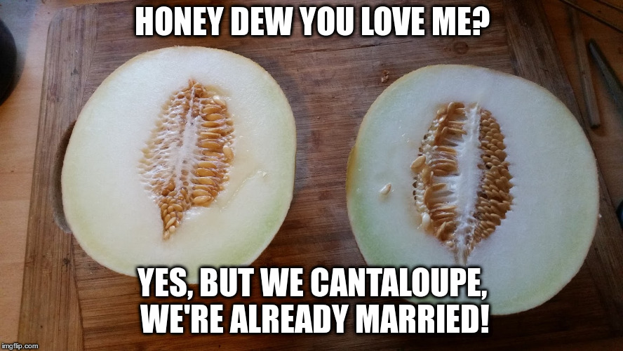 Nice Melons! | HONEY DEW YOU LOVE ME? YES, BUT WE CANTALOUPE, WE'RE ALREADY MARRIED! | image tagged in dad jokes,humor,melons,fun | made w/ Imgflip meme maker