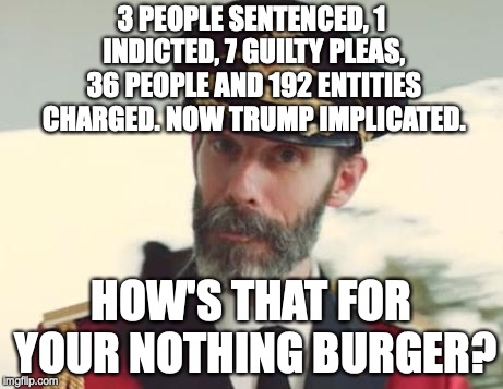 Captain Obvious | 3 PEOPLE SENTENCED, 1 INDICTED, 7 GUILTY PLEAS, 36 PEOPLE AND 192 ENTITIES CHARGED. NOW TRUMP IMPLICATED. HOW'S THAT FOR YOUR NOTHING BURGER? | image tagged in captain obvious | made w/ Imgflip meme maker