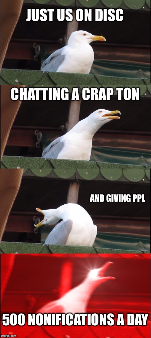 Inhaling Seagull Meme | JUST US ON DISC; CHATTING A CRAP TON; AND GIVING PPL; 500 NONIFICATIONS A DAY | image tagged in memes,inhaling seagull | made w/ Imgflip meme maker