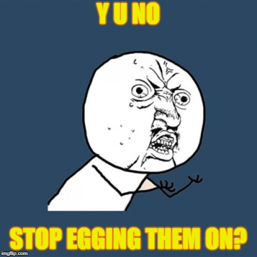 Y U No Meme | Y U NO STOP EGGING THEM ON? | image tagged in memes,y u no | made w/ Imgflip meme maker