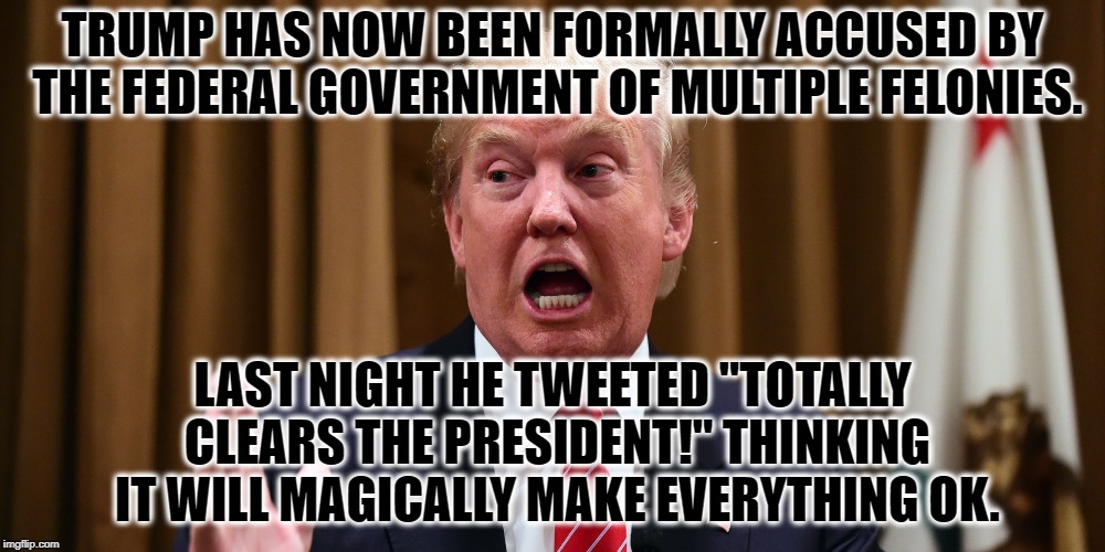 Downhill is the fun part, right? | TRUMP HAS NOW BEEN FORMALLY ACCUSED BY THE FEDERAL GOVERNMENT OF MULTIPLE FELONIES. LAST NIGHT HE TWEETED "TOTALLY CLEARS THE PRESIDENT!" THINKING IT WILL MAGICALLY MAKE EVERYTHING OK. | image tagged in donald trump,robert mueller,treason,traitor,impeach,retard | made w/ Imgflip meme maker