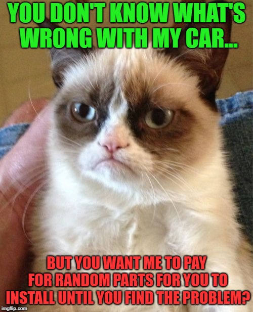 Grumpy Cat | YOU DON'T KNOW WHAT'S WRONG WITH MY CAR... BUT YOU WANT ME TO PAY FOR RANDOM PARTS FOR YOU TO INSTALL UNTIL YOU FIND THE PROBLEM? | image tagged in memes,grumpy cat | made w/ Imgflip meme maker