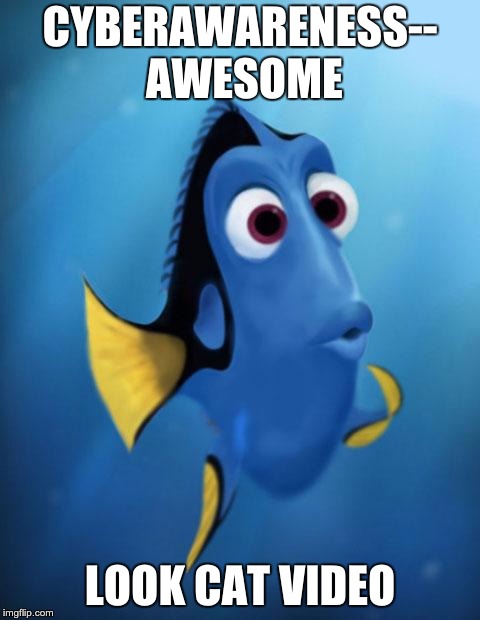 Dory | CYBERAWARENESS-- AWESOME; LOOK CAT VIDEO | image tagged in dory | made w/ Imgflip meme maker