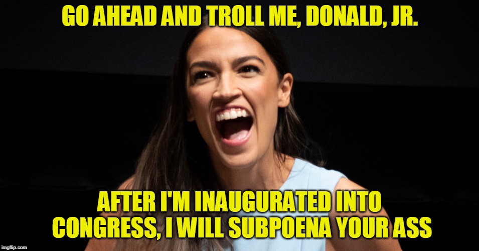 It's a Dog Eat Dog World | GO AHEAD AND TROLL ME, DONALD, JR. AFTER I'M INAUGURATED INTO CONGRESS, I WILL SUBPOENA YOUR ASS | image tagged in alexandria ocasio-cortez,donald trump jr | made w/ Imgflip meme maker