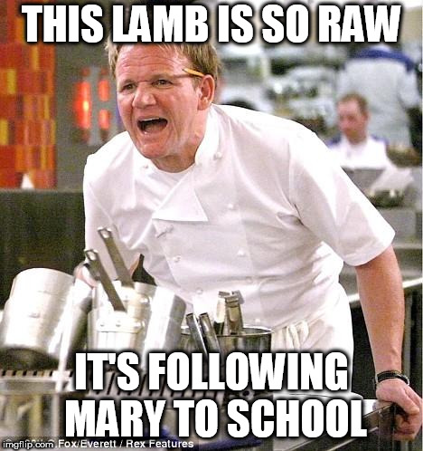 Chef Gordon Ramsay | THIS LAMB IS SO RAW; IT'S FOLLOWING MARY TO SCHOOL | image tagged in memes,chef gordon ramsay,nursery rhymes | made w/ Imgflip meme maker