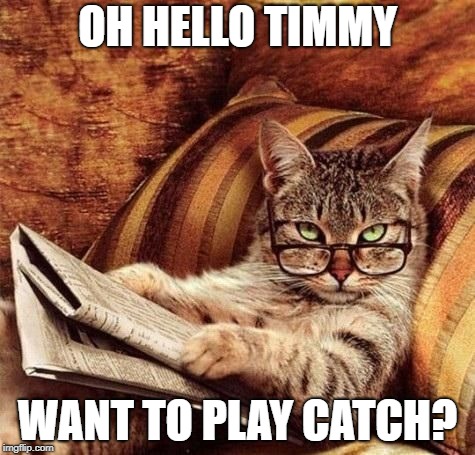 Reading Cat with Glasses | OH HELLO TIMMY; WANT TO PLAY CATCH? | image tagged in reading cat with glasses | made w/ Imgflip meme maker
