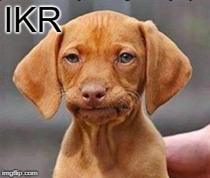 Frustrated dog | IKR | image tagged in frustrated dog | made w/ Imgflip meme maker