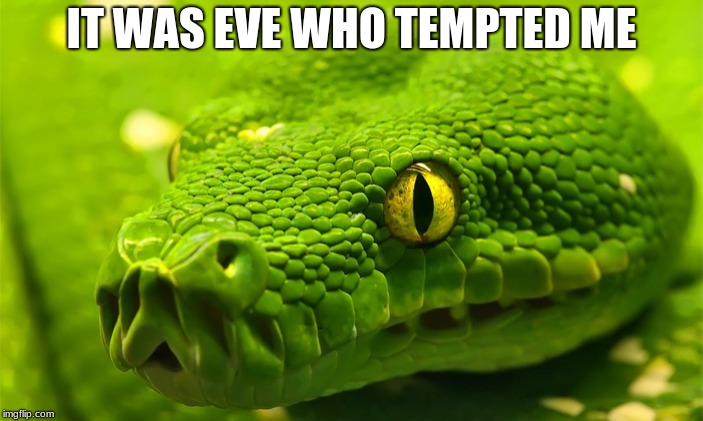 Adam & Eve | IT WAS EVE WHO TEMPTED ME | image tagged in snake | made w/ Imgflip meme maker