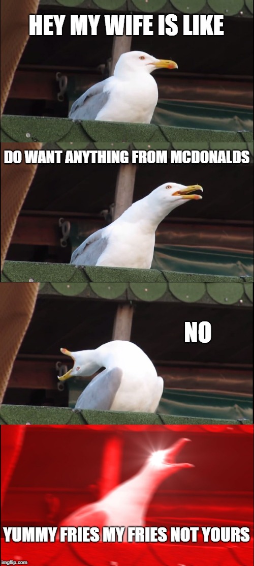 Inhaling Seagull | HEY MY WIFE IS LIKE; DO WANT ANYTHING FROM MCDONALDS; NO; YUMMY FRIES MY FRIES NOT YOURS | image tagged in memes,inhaling seagull | made w/ Imgflip meme maker