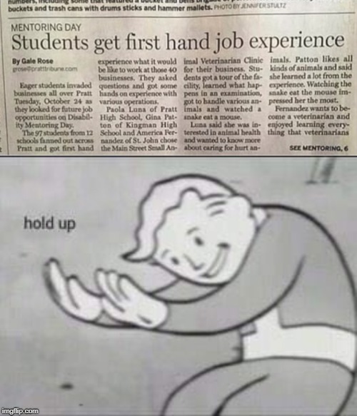 the job market sure is changing | HOLD UP | image tagged in fallout hold up,memes,trhtimmy,job | made w/ Imgflip meme maker