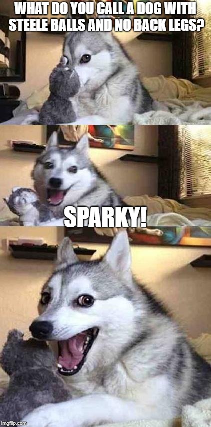 Dog Joke | WHAT DO YOU CALL A DOG WITH STEELE BALLS AND NO BACK LEGS? SPARKY! | image tagged in dog joke | made w/ Imgflip meme maker