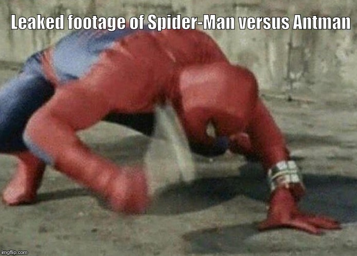 Spiderman vs Antman | Leaked footage of Spider-Man versus Antman | image tagged in spiderman | made w/ Imgflip meme maker