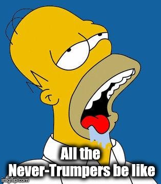 Homer Drooling | All the Never-Trumpers be like | image tagged in homer drooling | made w/ Imgflip meme maker