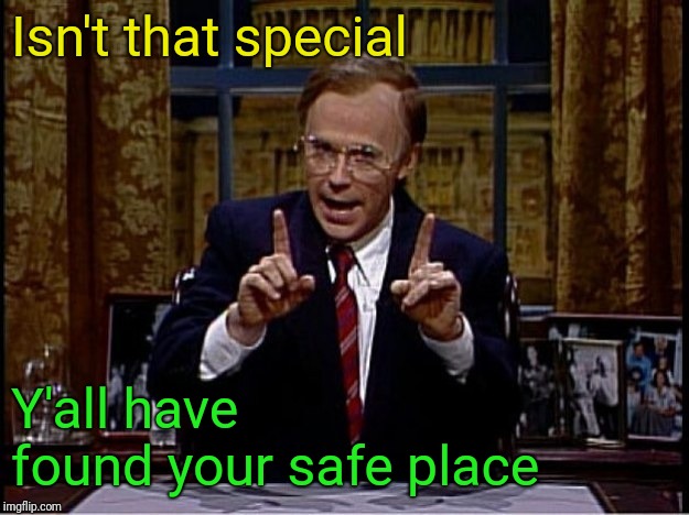 Dana Carvey as President Bush | Isn't that special Y'all have found your safe place | image tagged in dana carvey as president bush | made w/ Imgflip meme maker