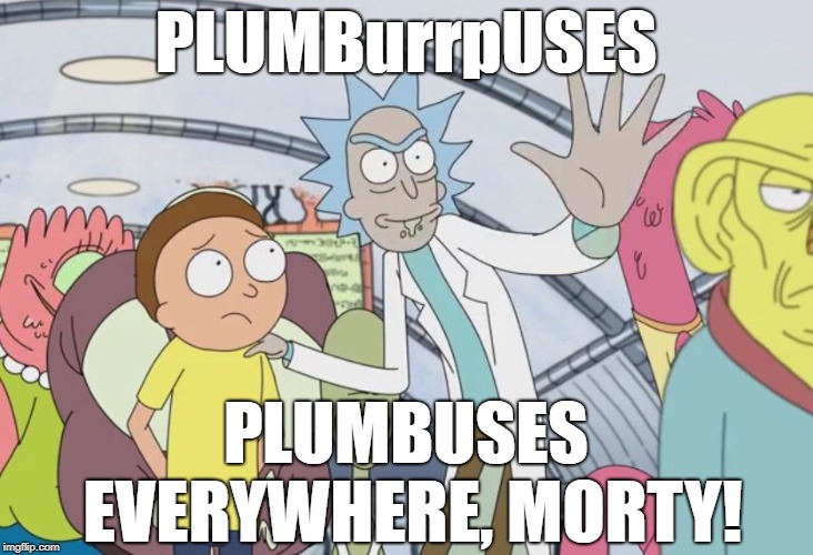 Rick and Morty X X Everywhere | PLUMBurrpUSES; PLUMBUSES EVERYWHERE, MORTY! | image tagged in rick and morty x x everywhere,rick and morty,x x everywhere,plumbus | made w/ Imgflip meme maker