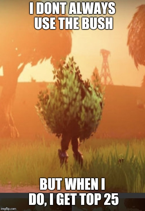 Fortnite bush | I DONT ALWAYS USE THE BUSH; BUT WHEN I DO, I GET TOP 25 | image tagged in fortnite bush | made w/ Imgflip meme maker