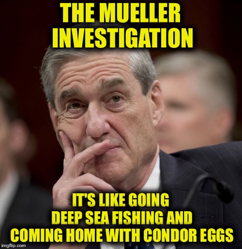 Still No Russian Collusion | THE MUELLER INVESTIGATION; IT'S LIKE GOING DEEP SEA FISHING AND COMING HOME WITH CONDOR EGGS | image tagged in special council robert mueller,memes,funny,funny memes,politics,mxm | made w/ Imgflip meme maker