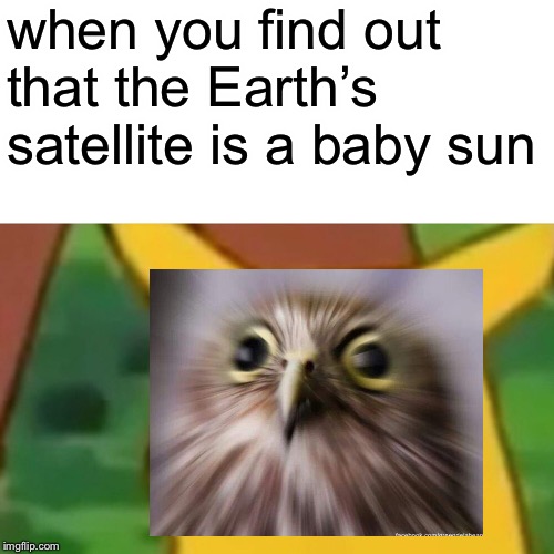Surprised Pikachu Meme | when you find out that the Earth’s satellite is a baby sun | image tagged in memes,surprised pikachu | made w/ Imgflip meme maker